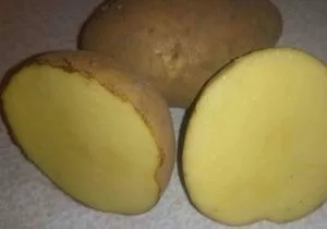 сорт картофеля колобок